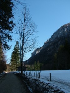 Falkensteinrundweg