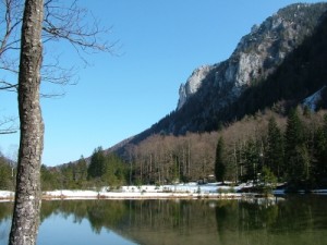 Falkensteinrundweg