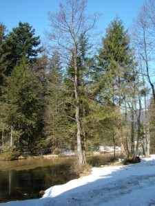 Falkensteinrundweg