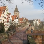 ulm18