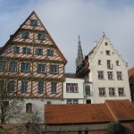 ulm19