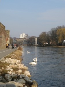 ulm23