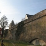 ulm24