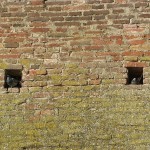 ulm25