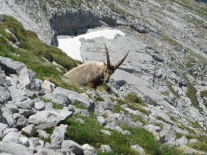 BGL_Watzmannhaus_10