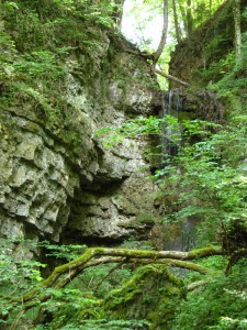 Schluchtensteig_1_8