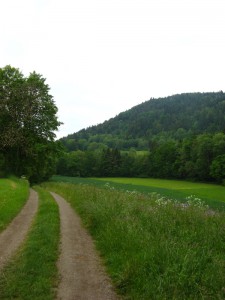 Schluchtensteig_2_2