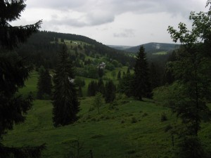 Schluchtensteig_3_9