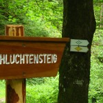 Schluchtensteig_5_8