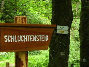 Schluchtensteig_5_8