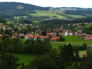 BayerischerWald_BaumwipfelpfadTierfreigelaende_8