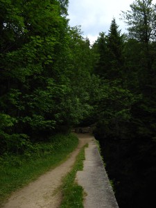 BayerischerWald_Lusen_1