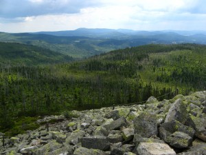 BayerischerWald_Lusen_10