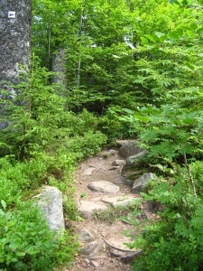 BayerischerWald_Lusen_2