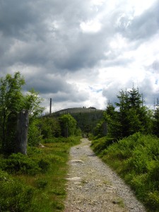 BayerischerWald_Lusen_5