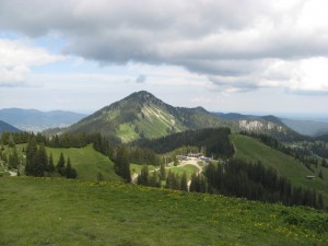 RotkopfRosskopf_3