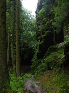 SächsischeSchweiz02_1