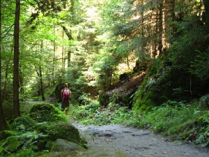 SächsischeSchweiz03_7