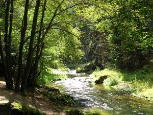 SächsischeSchweiz03_8