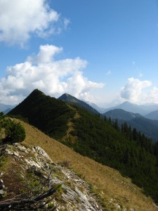 Halserspitz_8