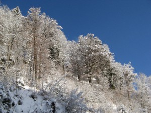 Oberstdorf_Breitachklamm_2