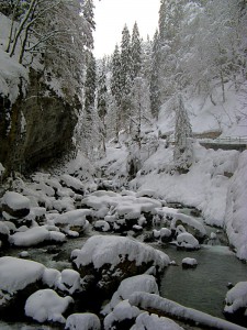 Oberstdorf_Breitachklamm_5