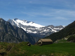 Schweiz_GlacierExpressAndermatt_14