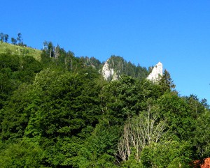 GrosserRiesenkopf_5