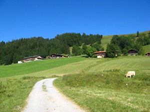 GrosserRiesenkopf_7