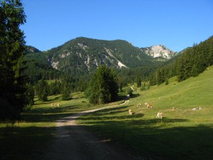 Spitzingseetour_1