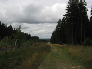 Eifelsteig02_14