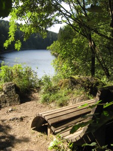 Eifelsteig02_23