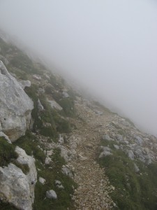 Dolomiten_Latemarspitze_9