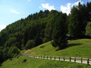 Gardasee_Mountainbike_6