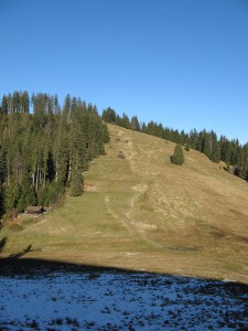 GindelalmschneidBaumgartenschneid_6