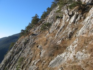 LeiteKlettersteig_8