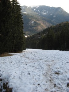 Hirschberg_18