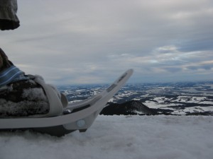 Laubenstein_12