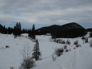 Laubenstein_3