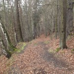 GamrigTrailrun_1