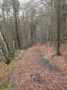 GamrigTrailrun_1