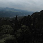 HoheLiebeSchrammsteineRotkehlchen_12