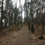 LiliensteinTrailrun_1