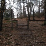 StiegenCarolaSchrammsteine_20