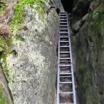 KipphornGoldsteinWintersteinIdagrotteCarola_9
