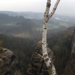 LiliensteinSchwedenloecherBastei_9