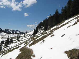 RampoldplatteHochsalwand_18