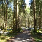 RampoldplatteHochsalwand_20