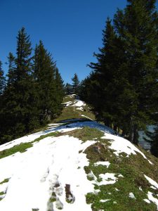 RampoldplatteHochsalwand_5