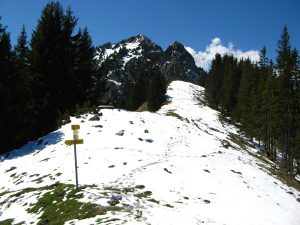 RampoldplatteHochsalwand_6